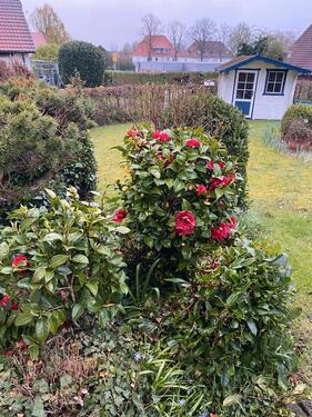 Foto - Großzügige Erdgeschosswohnung in Bad Iburg-Einzug sofort möglich