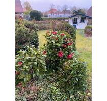 Großzügige Erdgeschosswohnung in Bad Iburg-Einzug sofort möglich