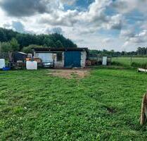 Scheune mit Koppel und Nebenställen - Elsterwerda