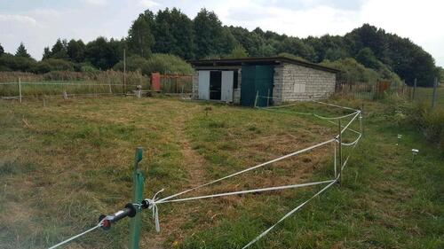 Foto - Grundstück zur Miete in Elsterwerda