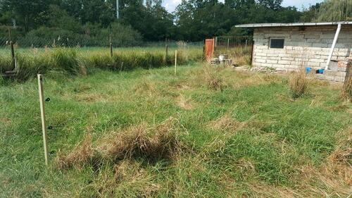 Foto - Grundstück in Elsterwerda