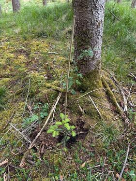 Foto - Ökopunkte, Ökowertpunkte, Naturraum D66