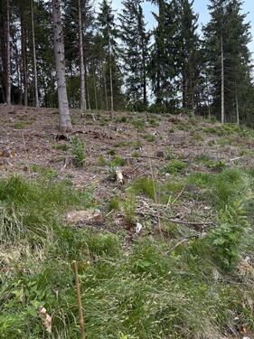 Foto - Grundstück in Vogtareuth