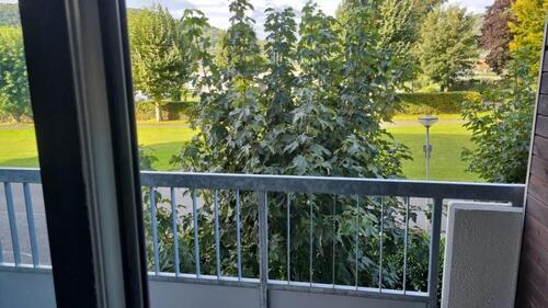 Foto - Schöne 1 Zimmerwohnung mit Balkon ab sofort