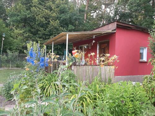Foto - Garten Kleingarten abzugeben massive Laube mit Fußbodenheizung
