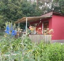 Garten Kleingarten abzugeben massive Laube mit Fußbodenheizung - Schwedt (Oder)