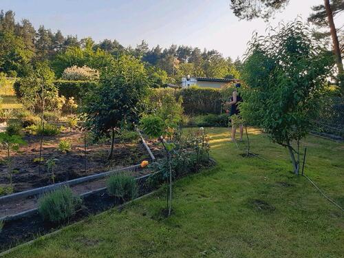 Foto - Grundstück in Schwedt (Oder) zur Miete