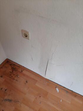 Foto - 2 Zimmer Etagenwohnung in Reuth bei Erbendorf