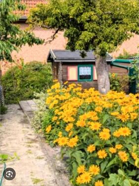 Foto - Kleingarten 140m2 Wittenberge Prignitz