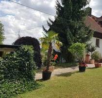 Schöne 1,5 Zimmer Wohnung in Würzburg, Steinbachtal, ruhige Lage