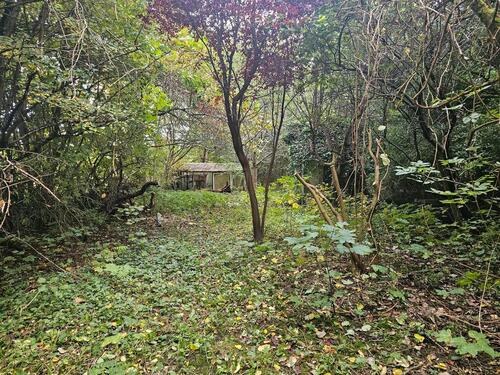 Foto - Freizeitgrundstück Schrebergarten Kleingarten ohne Verein am NSG