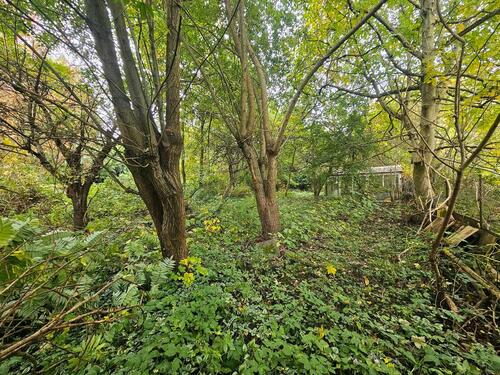 Foto - Grundst&uuml;ck in Kiel zur Miete