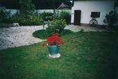 Foto - 5 Zimmer Einfamilienhaus zum Kaufen in Lindow (Mark)