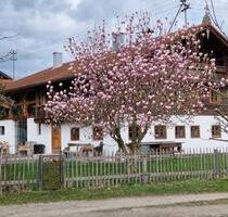 Bauernhaus unter Denkmalschutz restauriert - Bruckmühl