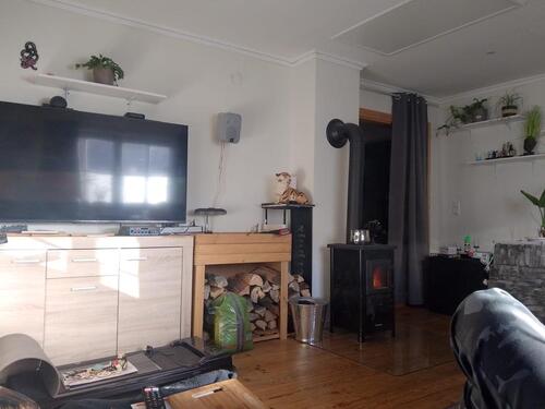 Foto - 3 Zi Whg, Haustiere willkommen-auf Pferdehof zum 1.4 frei