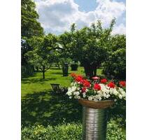 ***Ferienwohnungen in Thüringen Gotha-Siebleben zu vermieten**