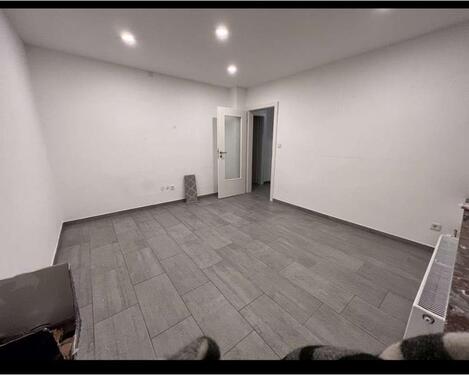 Foto - Kernsanierte EG- Wohnung eines Mehrfamilienhauses mit Garten