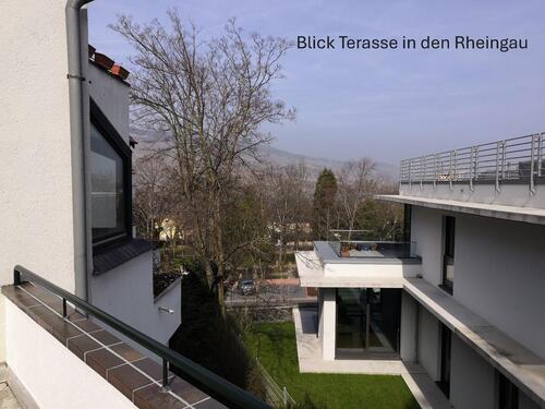 Foto - 2 Zimmer Etagenwohnung in Bingen am Rhein