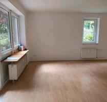 Frisch renovierte helle Erdgeschosswohnung - Springe