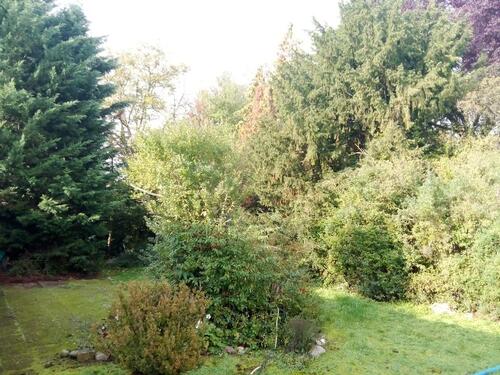 Foto - Einfamilienhaus in Güglingen