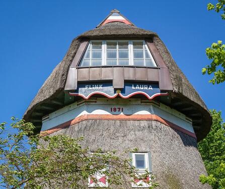 Foto - Ferienhaus Ferienwohnung Ostsee Insel Fehmarn Mühle mit Hund