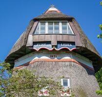 Ferienhaus Ferienwohnung Ostsee Insel Fehmarn Mühle mit Hund