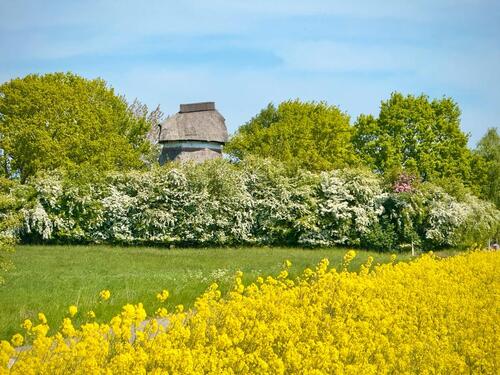 Foto - andere in Fehmarn
