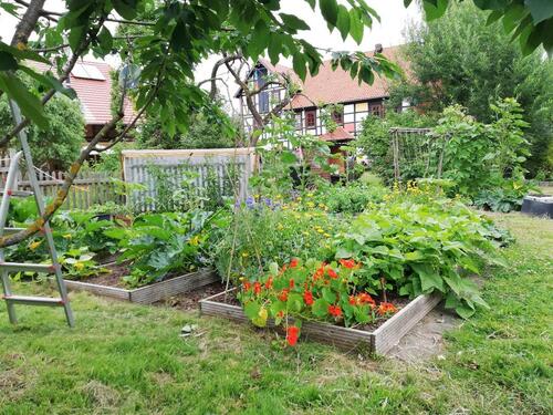 Foto - Große, sonnige Wohnung in ehemaliger Mühle