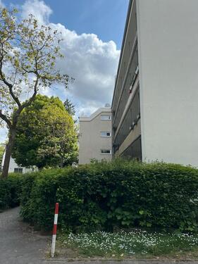 Foto - 3 Zimmer Etagenwohnung in Mainz