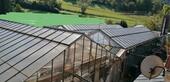 Foto - 7 Zimmer Einfamilienhaus zum Kaufen in Wehretal