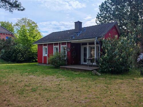 Foto - Holz Ferienhaus auf Usedom Ostsee bei Zinnowitz Sommer Urlaub