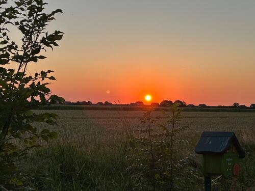 Foto - andere in Reinbek