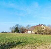 Hier finden Sie neben Ruhe auch Platz für Gemüse und Tiere - Milower Land