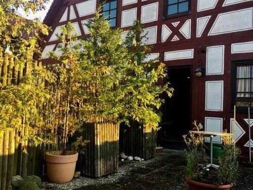 Foto - Einfamilienhaus zum Kaufen in Eibelstadt