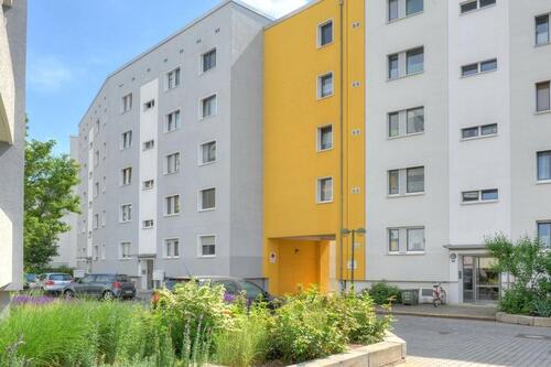 Foto - Etagenwohnung in Halle (Saale) zur Miete