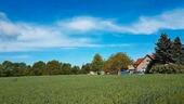 Foto - 5 Zimmer Einfamilienhaus zum Kaufen in Plessa
