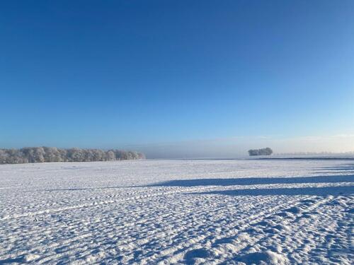 Foto - andere in Reinbek zur Miete