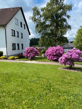 Foto - 3 Zimmer Etagenwohnung zur Miete in Olpe