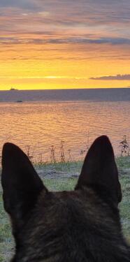 Foto - Ferienhaus, ländlich gelegen - 75,00&nbsp;EUR Kaltmiete,