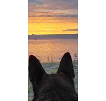 Ferienhaus, ländlich gelegen - 75,00&nbsp;EUR Kaltmiete, in Nordenham (PLZ: 26954)