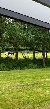 Foto - Urlaub mit Hund an der Nordsee - 55,00 EUR Kaltmiete,