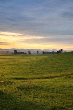 Foto - 1 Zimmer Etagenwohnung zur Miete in Kißlegg