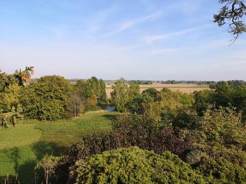 Foto - Einfamilienhaus in Leuna zum Kaufen