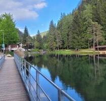 Ferienwohnung SüdtirolVal di Non - Natur pur & Hunde willkommen! - Aukrug