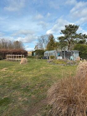 Foto - Etagenwohnung in Vöhl zur Miete