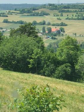 Foto - 4-Zimmer Wohnung per 1.1.26 - 720,00 EUR Kaltmiete, ca.  85,00 m²