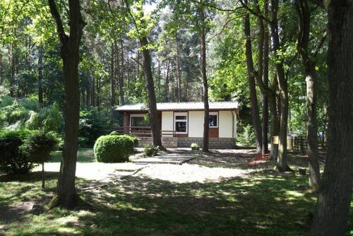 Foto - andere zur Miete in Bad Saarow