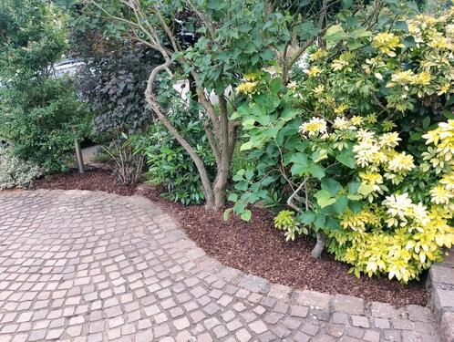 Foto - Einfamilienhaus in Bocholt