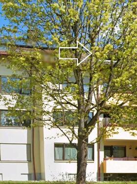 Foto - 1 ½ Zi DG Wohnung in Sigmaringen