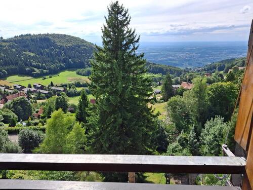 Foto - 3 Zimmer Dachgeschoßwohnung zur Miete in Sasbachwalden